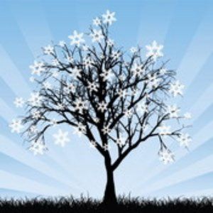 Meet your Posher, Tea